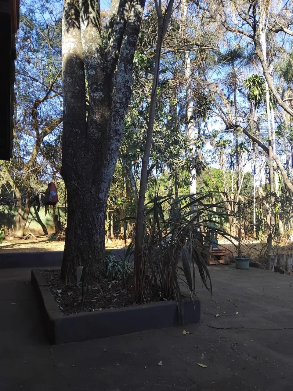 Sitio Bemtevi - Jockey Camping - Uberlandia 빌라 외부 사진