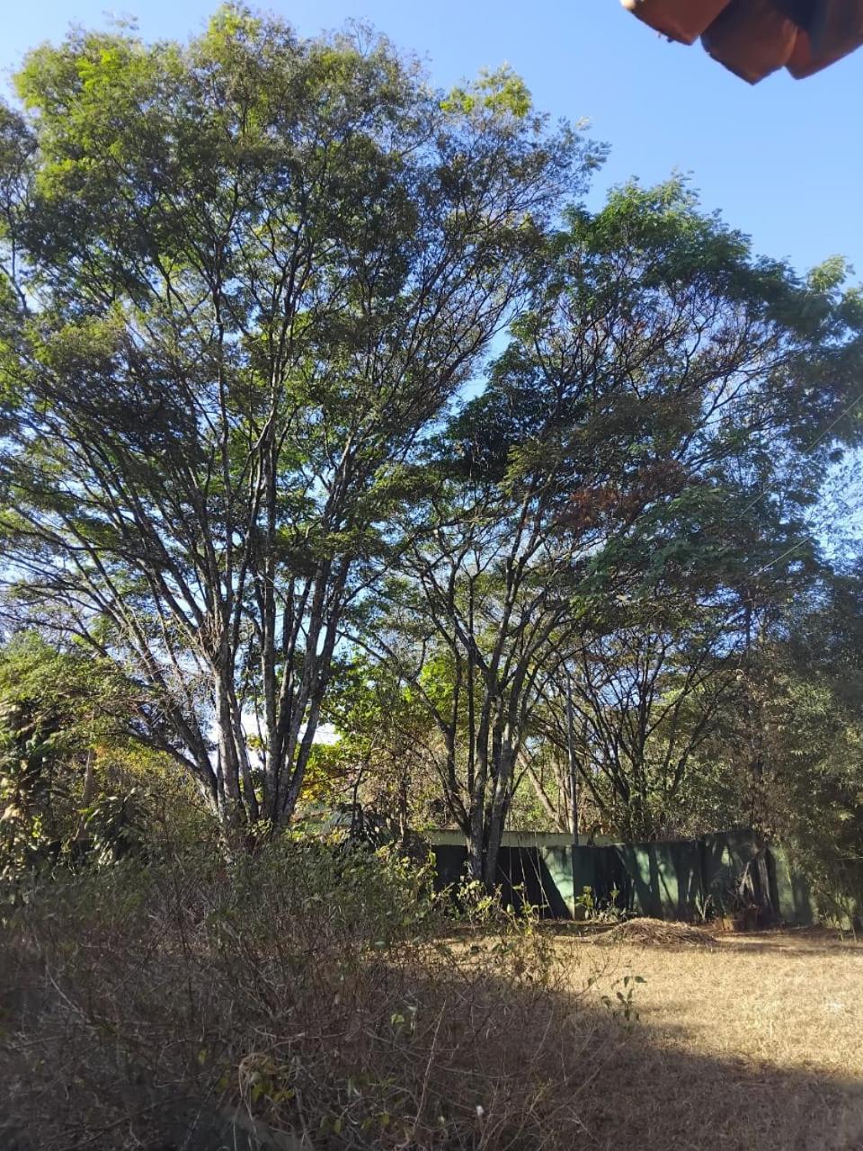 Sitio Bemtevi - Jockey Camping - Uberlandia 빌라 외부 사진