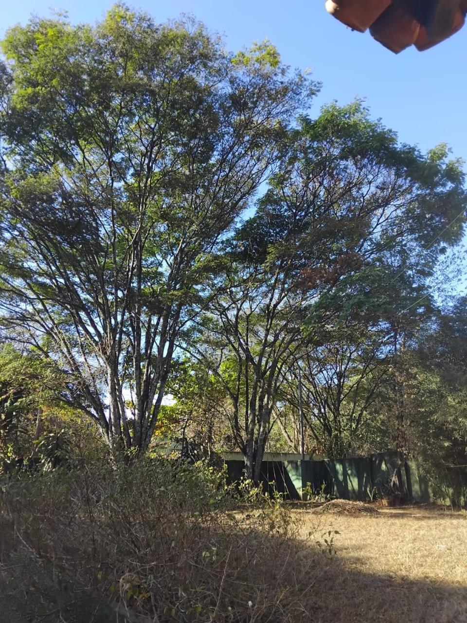 Sitio Bemtevi - Jockey Camping - Uberlandia 빌라 외부 사진